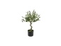 Preview: künstlicher Olivenbaum 65 cmen Strauß Kunstblume rosa lila