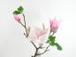 Preview: Magnolienast Kunstblume Rosa Weiß