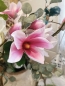 Preview: Magnolienzweig Rosa 75 cm
