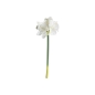 Preview: Seidenblume Amaryllis weiß 70 cm