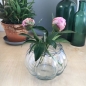 Preview: Vase Steckhilfe Steckgitter