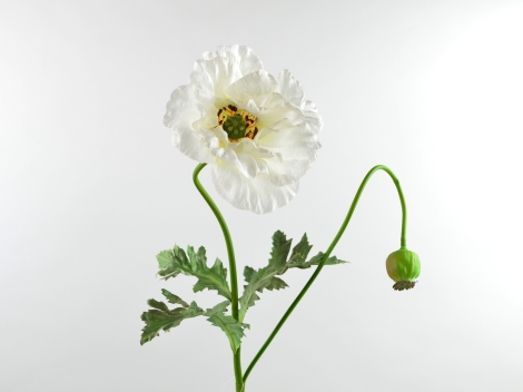 Mohnblume weiß 78 cm mit 2 Blüten